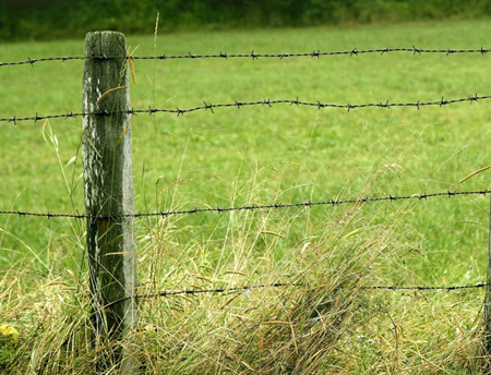 刺線圍欄.jpg 刺線圍欄.jpg