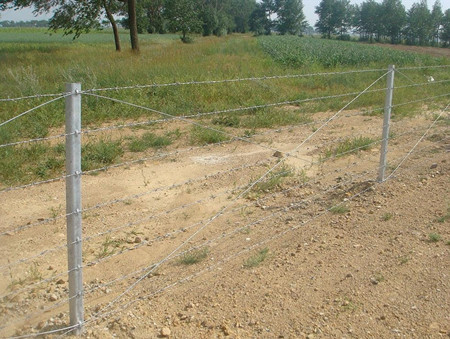 刺繩圍欄網(wǎng).jpg 刺繩圍欄網(wǎng).jpg