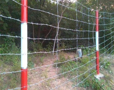 刺繩圍欄.jpg 刺繩圍欄.jpg