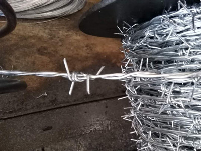 熱鍍鋅刺繩.jpg 熱鍍鋅刺繩.jpg