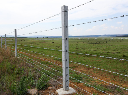 刺繩.jpg 刺繩.jpg