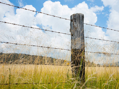 木樁刺繩圍欄.jpg 木樁刺繩圍欄.jpg