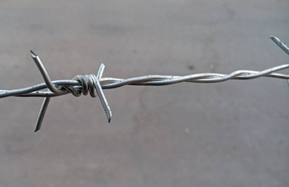 刺鐵絲.jpg 刺鐵絲.jpg