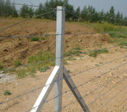 刺鐵絲.jpg 刺鐵絲.jpg