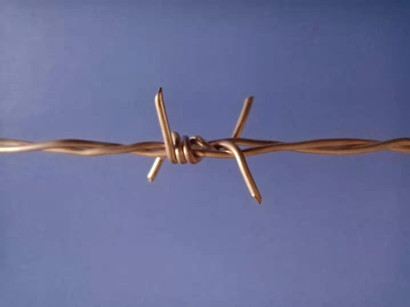 帶刺鋼絲.jpg 帶刺鋼絲.jpg