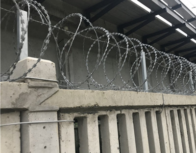刀片刺鐵絲網(wǎng).jpg 刀片刺鐵絲網(wǎng).jpg