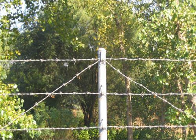 刺鐵絲網(wǎng).jpg 刺鐵絲網(wǎng).jpg