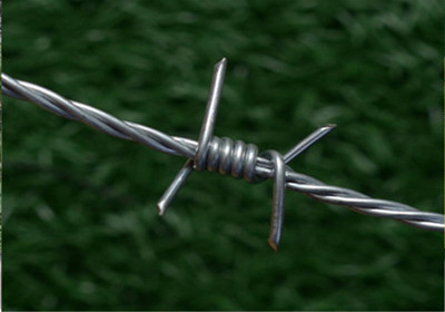 刺鐵絲網(wǎng).jpg 刺鐵絲網(wǎng).jpg