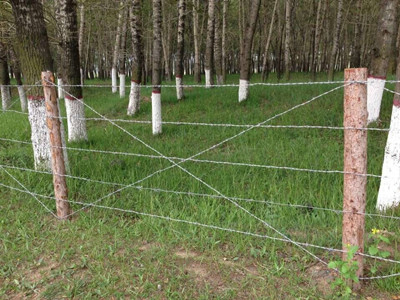 刺鐵絲網(wǎng).jpg 刺鐵絲網(wǎng).jpg